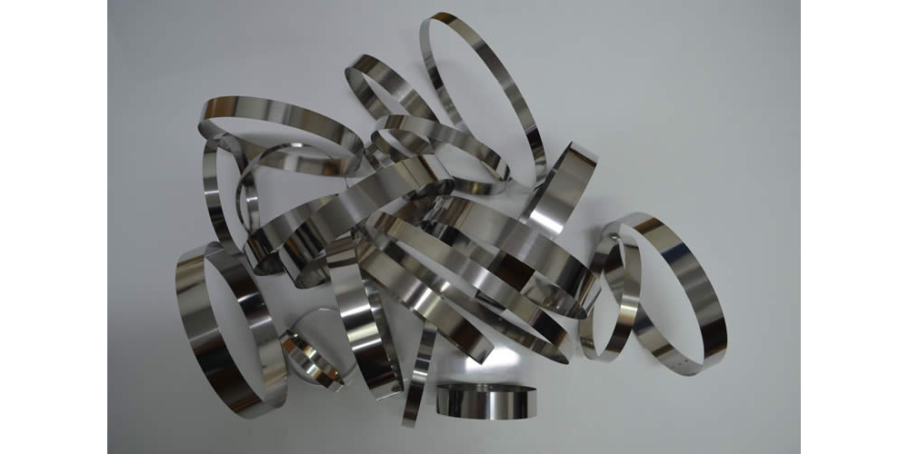 Salpark - Stainless steel snap rings
